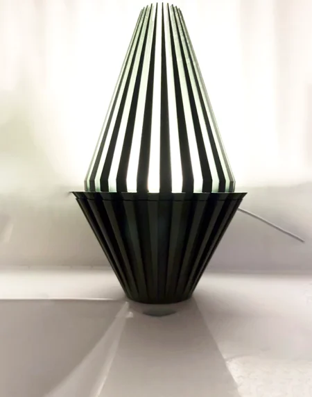 Printnests3d_Two-in-One 3D Printed Vase & Lamp