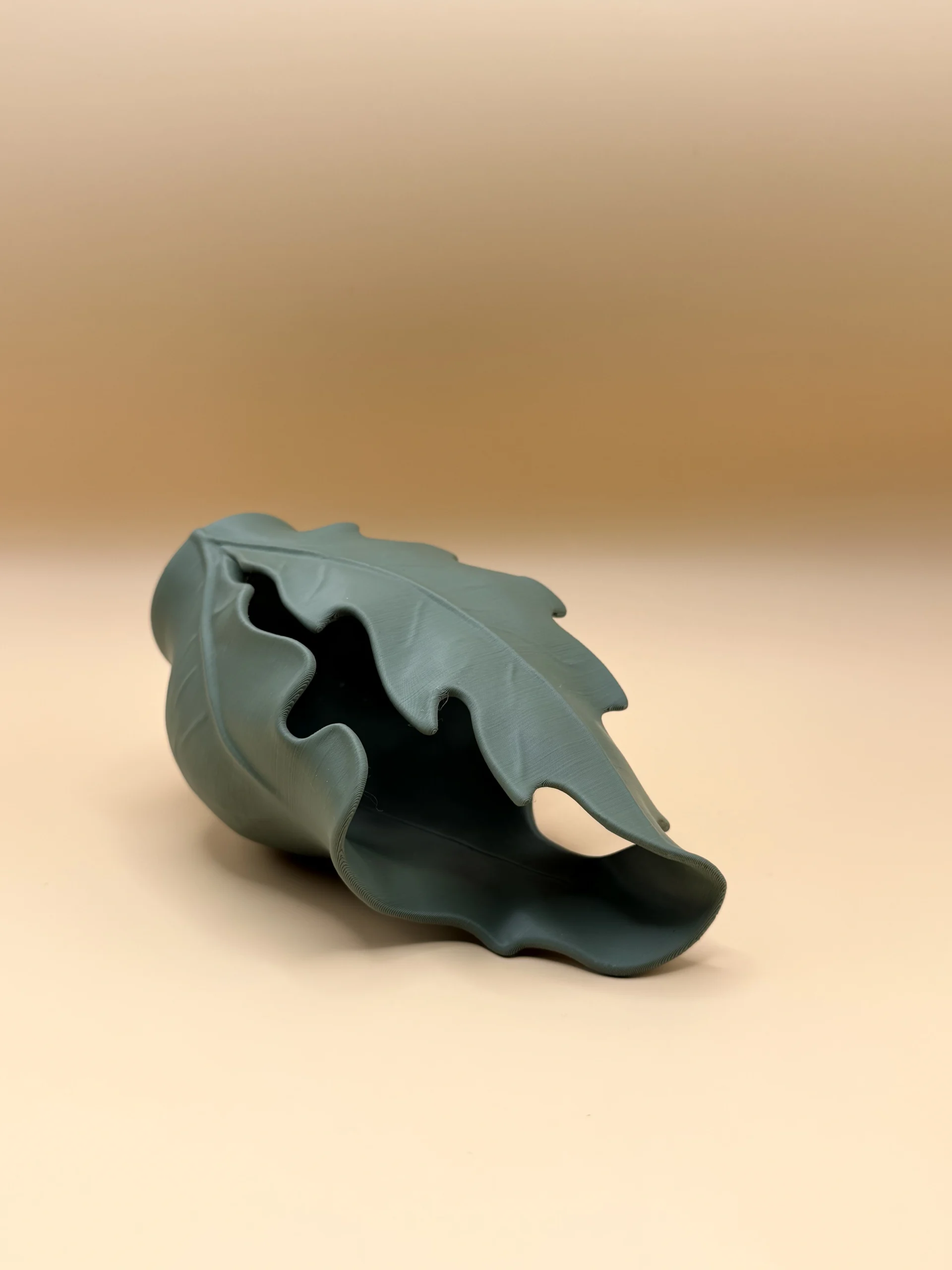 PrintNests3d_3d_Printed_Leave_Shape_Vase