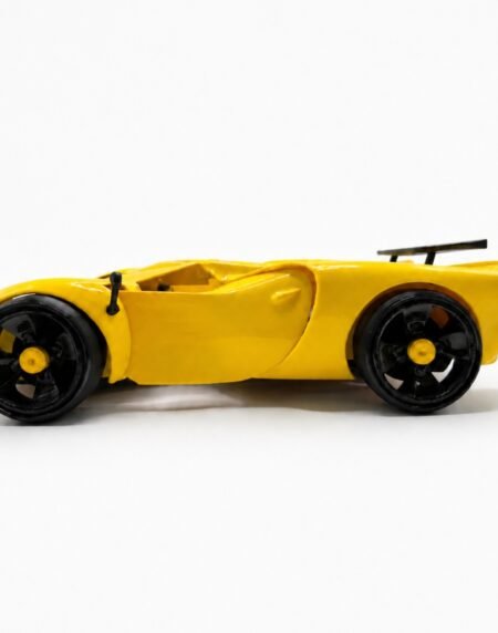 Printnests3d_3D Printed Car